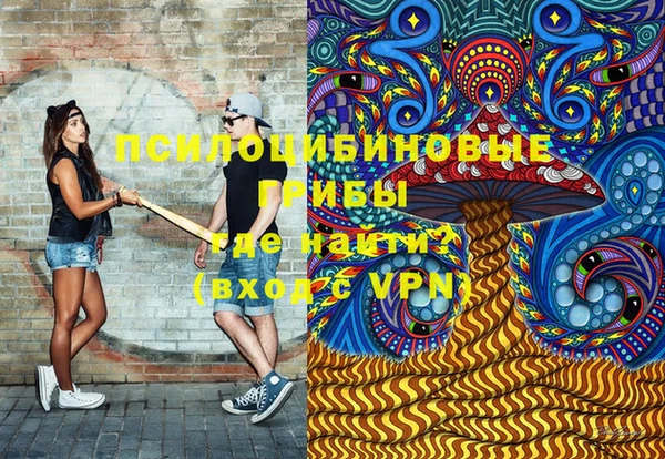 гашик Магас
